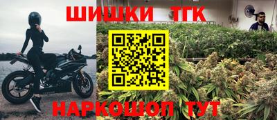 сатива Новодвинск