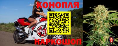 сатива Новодвинск