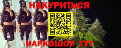 сатива Новодвинск