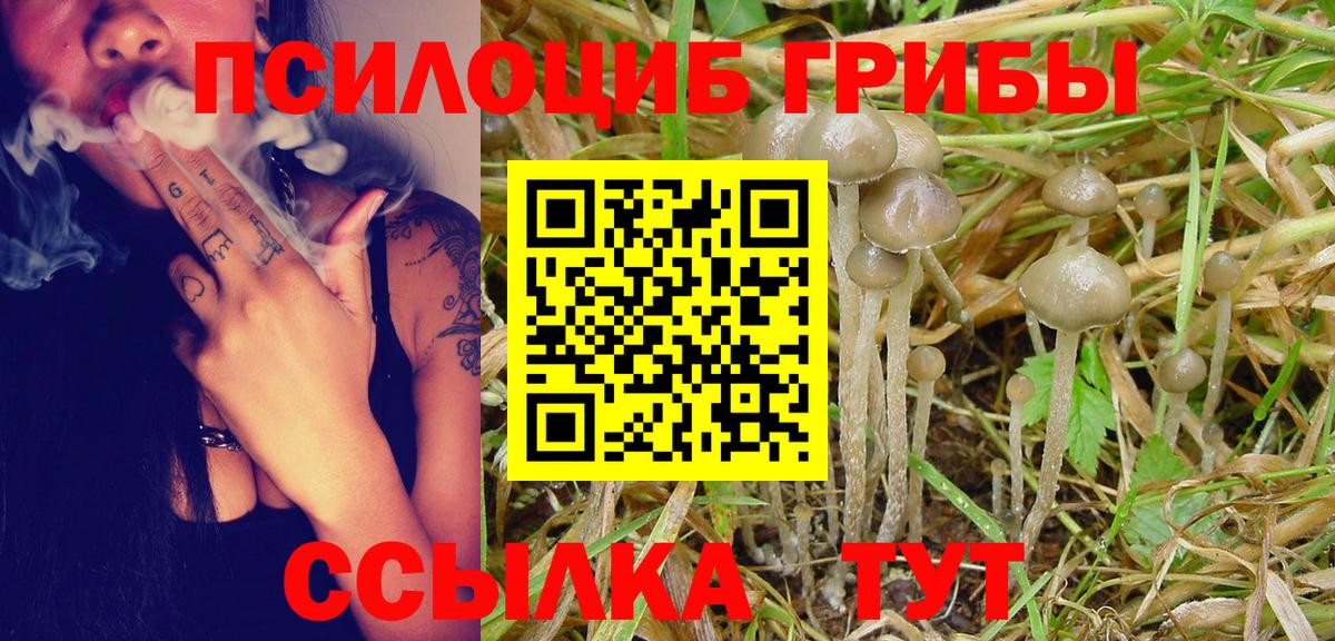 Галлюциногенные грибы Psilocybine cubensis  Вход с VPN  Фурманов 